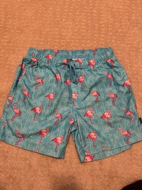 Men's Teal Flamingo Swim Trunks